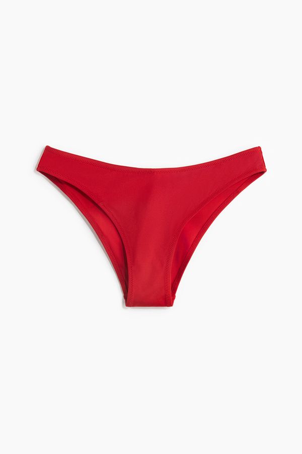 Braga de bikini