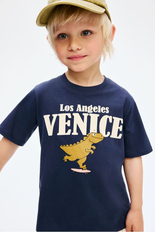 Camiseta estampada