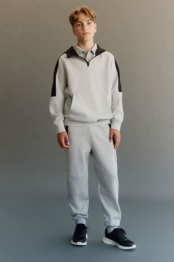 Joggers en tejido sudadera